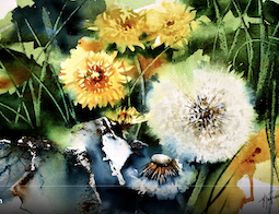 Akvarellkurs med Nadia Tognazzo, Italien